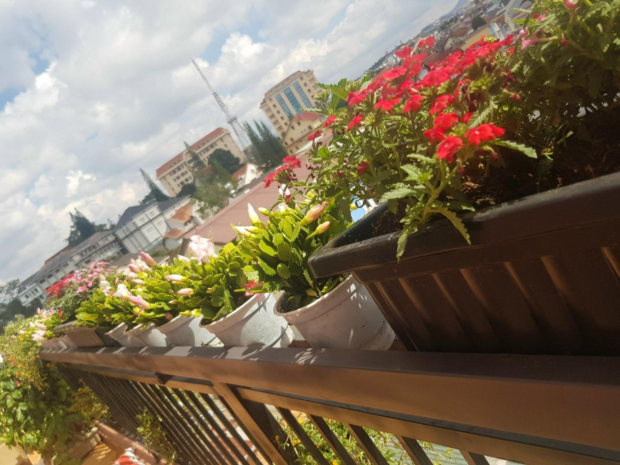 Ngoc Tran Hotel Da Lat Zewnętrze zdjęcie